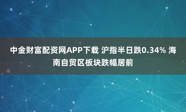 中金财富配资网APP下载 沪指半日跌0.34% 海南自贸区板块跌幅居前
